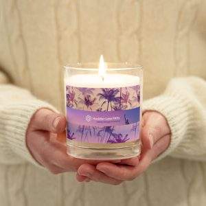 Hodder Law Tropical Soy Candle
